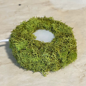 Moss Display Stand