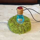 Moss Display Stand