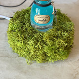 Moss Display Stand